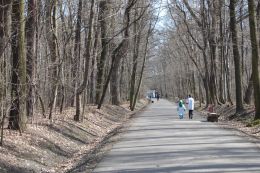 Niebieski dogtrekking - uczniowie69.jpg