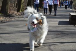 Niebieski dogtrekking - uczniowie03.jpg