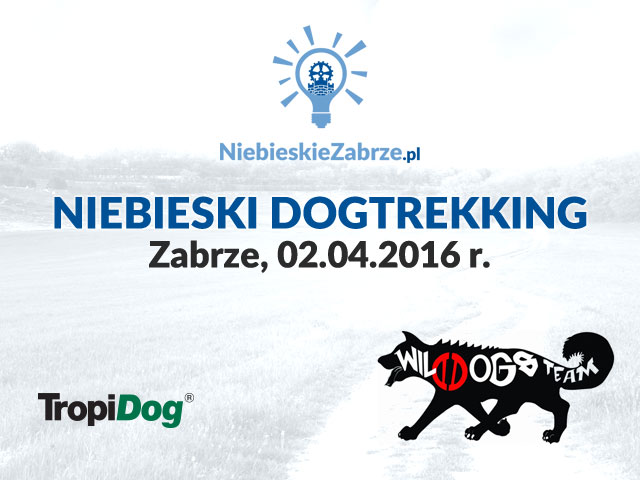 Niebieski dogtrekking